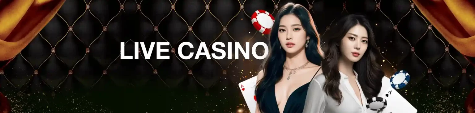 MATOK casino live dealer roulette table offering immersive real-time online gaming experience